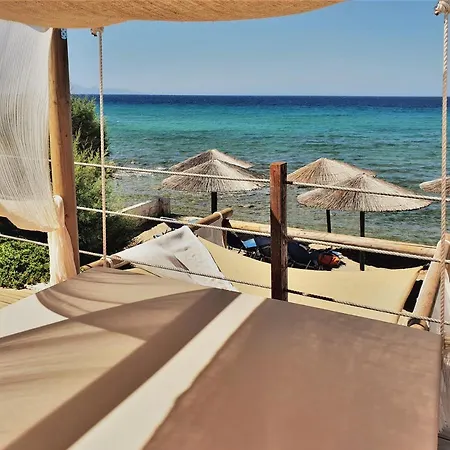 Tsamis Zante (adults Only) 호텔