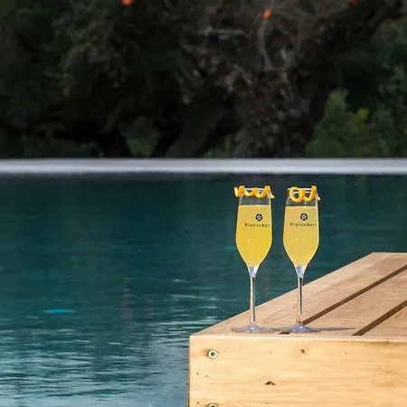 ホテル Tsamis Zante (adults Only) Psarou (Zakynthos)